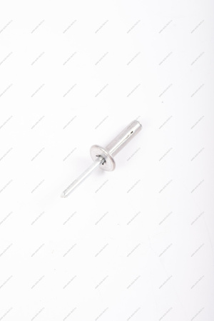 Заклепка(метал) крепления моторредуктора RENAULT Sandero/Logan Renault RENAULT 7703072362