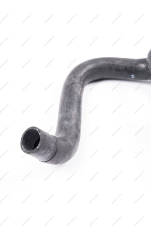 Шланг отводящий радиатора двигателя (H4M) Lada Vesta Lada LADA 8450038392