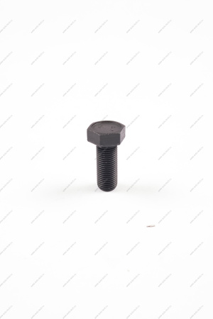 Болт М12x1.25x30 БелЗАН 00001005540433