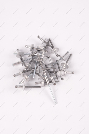 Заклепка RENAULT Logan/Рено Логан 2014- d=4,8мм Renault RENAULT 7705096011