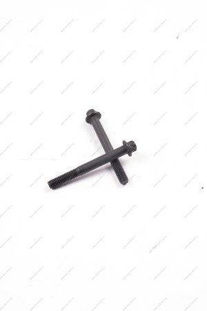 Болт с направляющим хвостовиком М6х1х53 LADA Largus (FL) NEW (крышки головки цилиндров) Lada LADA 11182100332600