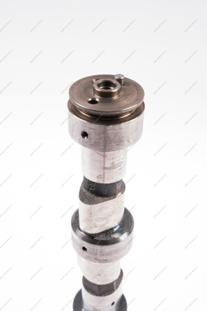 Вал ВАЗ-21213 распределительный (без корпуса) Lada LADA 21213100601000