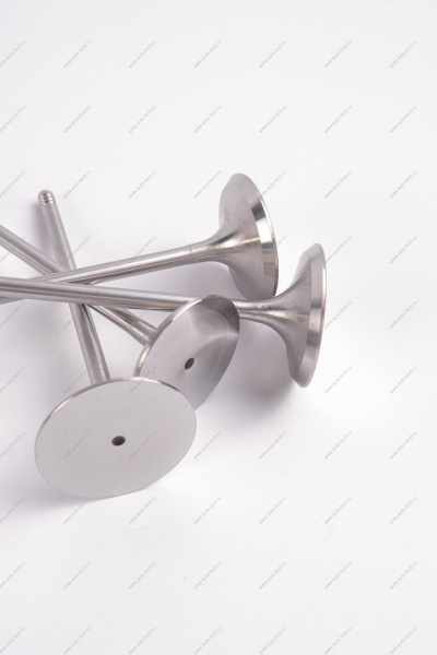 Комплект клапанов выпускных 4шт.к-т LADA Largus (FL) NEW Lada LADA 8460008784