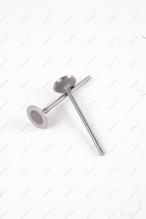 Клапан впускной 16кл. LADA Largus 1 шт AVTOSTANDART AVTOSTANDART 770147137888