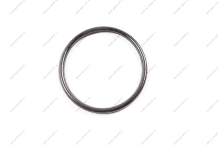 Прокладка дроссельной заслонки LADA Largus 16кл Renault RENAULT 8200068583RG8200068583/66