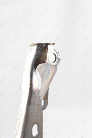 Петля (FL) LADA GRANTA 2018- капота левая Lada LADA 21900840701100