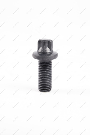 Болт крепления шаровой опоры тормоза заднего н/о (головка под звездочку) М10*1.25*23 Lada Vesta /SW/ SW Cross Lada LADA 21080290419400