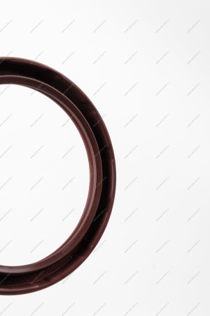 Сальник ВАЗ-2108 коленчатого вала задний с пружиной (БРТ) Lada LADA 21080100516000