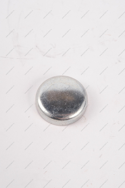 Заглушка ГБЦ ВАЗ-2108 двигат 8 кл чашечная (d=30) Lada LADA 00001004329101