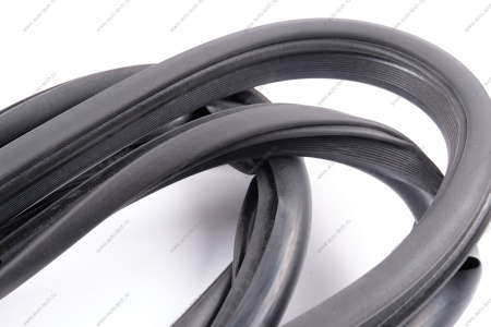 Уплотнитель проема двери ВАЗ-2192 передней (БРТ) Lada LADA 219406107018Р