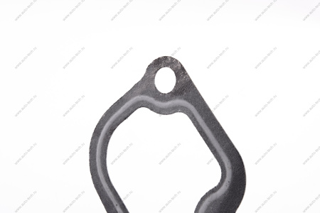 Прокладка термостата ВАЗ-2110 двигат 11189 Lada LADA 21100130301700