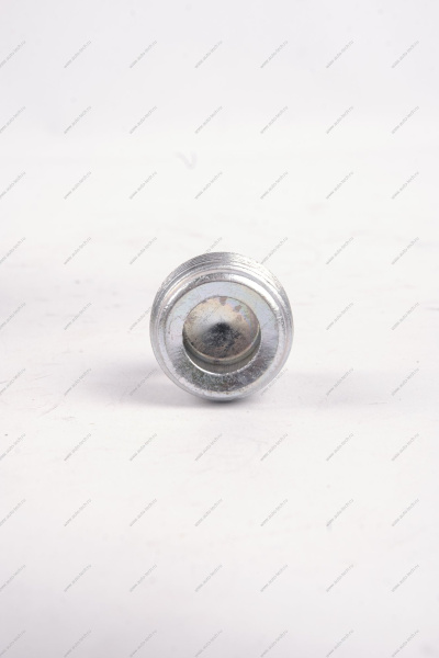 Пробка сливного отверстия масляного картера ВАЗ 2108 Lada LADA 21080100915600