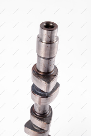 Вал распределительный впускной для двигат.11189 (P3M) Lada Largus Lada LADA 21110100601510