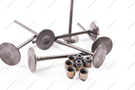 Комплект клапанов впускных (с сухарями) в сборе LADA XRAY дв.H4M (114 л\с) 8шт Renault RENAULT 132018521R