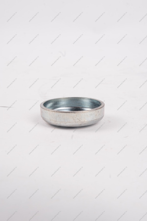 Заглушка ГБЦ ВАЗ-2108 двигат 8 кл чашечная (d=30) Lada LADA 00001004329101 Заглушка ГБЦ ВАЗ-2108 двигат 8 кл чашечная (d=30) Lada LADA 00001004329101