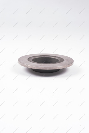 Диск LADA Vesta/SW/ SW Cross тормозной задний 2 шт комплект (,Авто-Реал, ) Lada LADA 8450031131