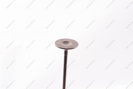 Комплект клапанов выпускных (с сухарями) в сбореLADA XRAY дв.H4M (114 л\с) 8шт Renault RENAULT 132028257R