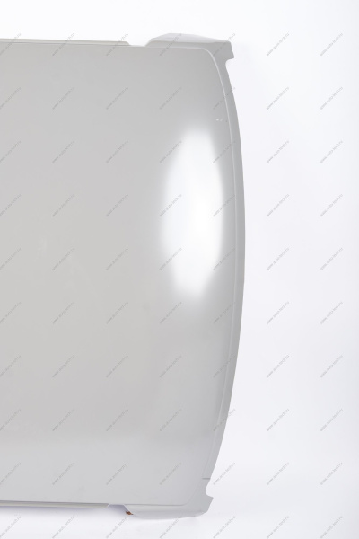 Панель крыши ВАЗ-2110 (катафорезный грунт) Lada LADA 21100-5701012-20