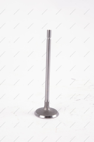 Клапан впускной 16кл. LADA Largus 1 шт AVTOSTANDART AVTOSTANDART 770147137888