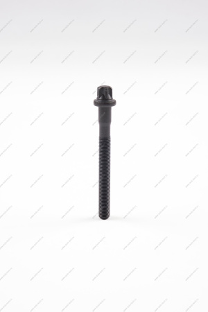 Болт головки блока цилиндров М10х1,25х98 ( нужно 10 шт) Lada Largus двигат (P4M) 21129 Lada LADA 21120100327100