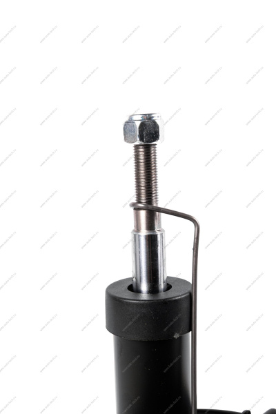 Амортизатор передней подвески LARGUS Cross Trialli TRIALLI AG01067