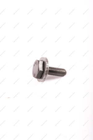 Болт крепежный распредвала LAND ROVER Land Rover LR025016