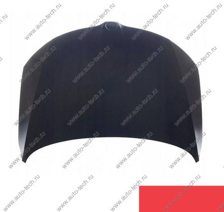 Капот крашеный SKODA RAPID 13- 6X - CERVENA RIO SIMYI SIMYI 5JA823031B-6X (SIMYI)