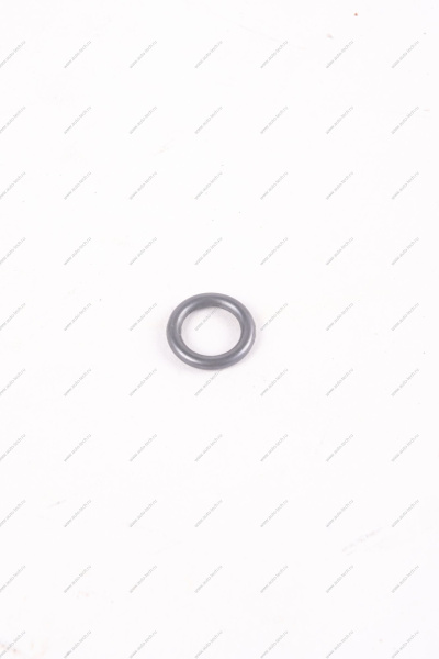 Кольцо уплотнительное форсунки ВАЗ 21127 CS20 CS20 15110