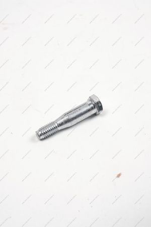 Ось ВАЗ-1118 петли двери (шестигранник) Lada LADA 11180610602020