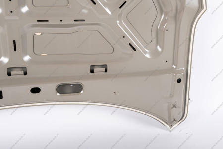 Капот ВАЗ-21093 (катафорезный грунт) Lada LADA 21093840201070