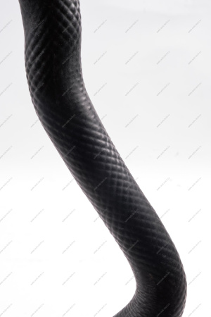 Шланг LADA Largus подводящий радиатора 8 кл.(от радиатора к термостату)(верхний) двигат 11189 (L=918/тФвн31,3) (БРТ) Lada LADA 8450009488