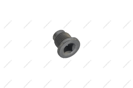 Пробка поддона картера двигателя( сливная ) LADA Largus/Renault Logan/Duster K4M/K7M Lada LADA 7703075348
