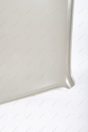 Панель крыши ВАЗ-2121-21214/LADA URBAN (катафорезный грунт) Lada LADA 21210570101210