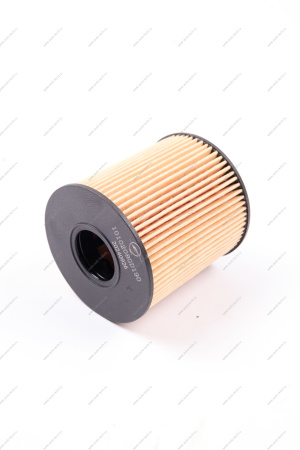 Фильтр маслянный T6 JAC JAC 1010208GD190