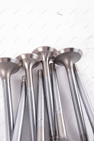 Комплект клапанов LADA Samara / 110 / Kalina / Granta / Priora 8 шт впускной+выпускной к-т Lada LADA 21080100701086