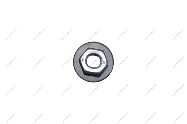 Гайка RENAULT Duster двери/Рено Дастер Renault RENAULT 7703034259