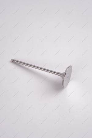 Комплект клапанов выпускных 4шт.к-т LADA Largus (FL) NEW Lada LADA 8460008784