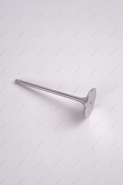 Комплект клапанов выпускных 4шт.к-т LADA Largus (FL) NEW Lada LADA 8460008784