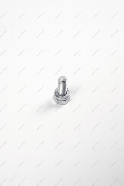 Болт м8х20 ВАЗ-21213 креления корзины сцепления (БелЗАН) Lada LADA 00001-0038258-21