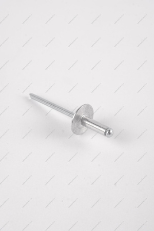 Заклепка RENAULT Logan/Рено Логан 2014- d=4,8мм Renault RENAULT 7705096011