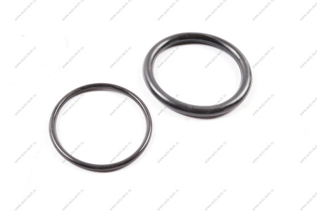 Прокладка дроссельной заслонки LADA Largus 16кл Renault RENAULT 8200068583RG8200068583/66