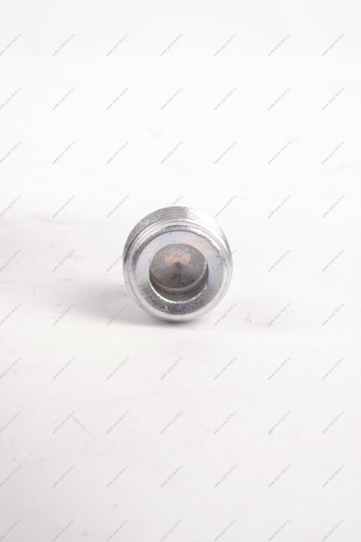 Пробка 22*1,5 сливного отверстия масляного картера LADA Vesta Lada LADA 21230170132600