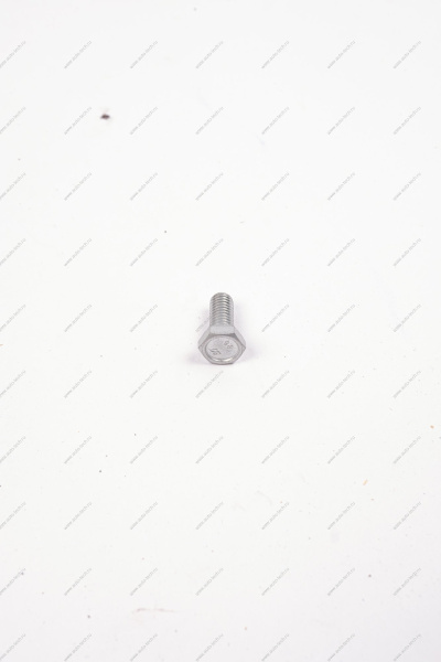 Болт М6X1X14 картера масляного ВАЗ-2101,2108 АвтоВАЗ 10902121