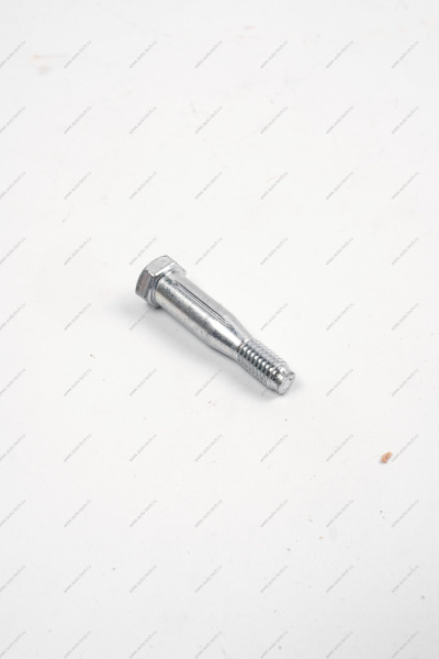 Ось ВАЗ-1118 петли двери (шестигранник) Lada LADA 11180610602020