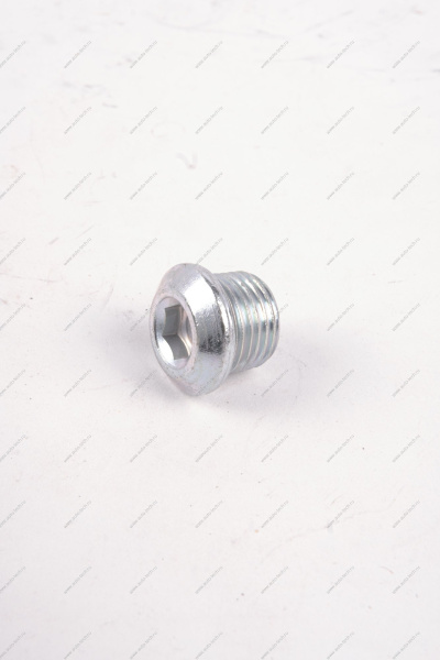 Пробкa LADA VESTA поддона картера двигателя Lada LADA 21120101106100