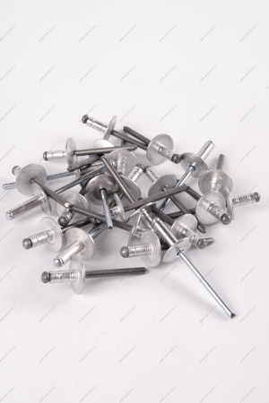 Заклепка RENAULT Logan/Рено Логан 2014- d=4,8мм Renault RENAULT 7705096011