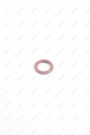 Кольцо уплотнительное форсунки ВАЗ 21127 (Серое 10*15) Lada LADA 21127113213800 Кольцо уплотнительное форсунки ВАЗ 21127 (Серое 10*15) Lada LADA 21127113213800