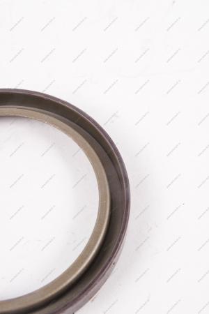 Кольцо Lada Vesta/Xray/Logan 2014- магнитное ABS (маленькое) тормозного барабана Renault RENAULT 479703074R