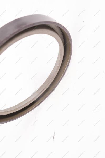 Кольцо Lada Vesta/Xray/Logan 2014- магнитное ABS (маленькое) тормозного барабана Renault RENAULT 479703074R