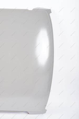 Панель крыши ВАЗ-2110 (катафорезный грунт) Lada LADA 21100570101220